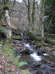 SX32890 Falls in Nant Cadair.jpg